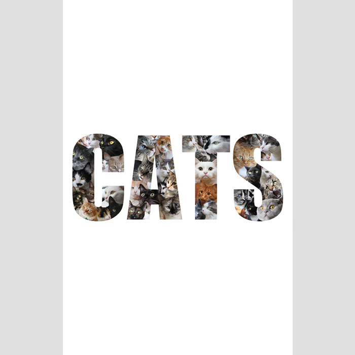 CATS-art-print-SMALL-SQ.jpg