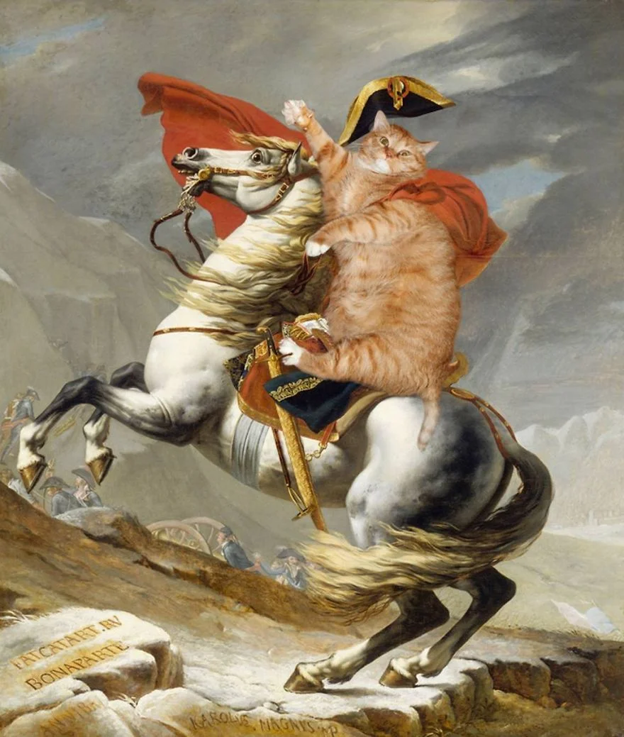 fatcat.jpg