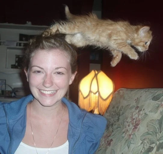 flying-cat-photobomb