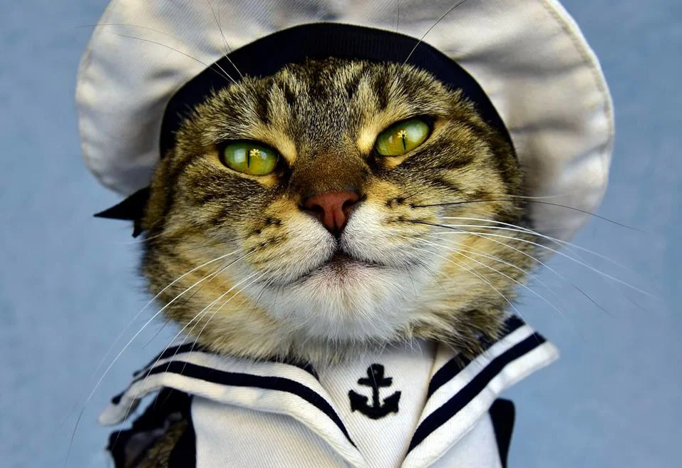 baba-navy-uniforn-e1455655808944.jpg