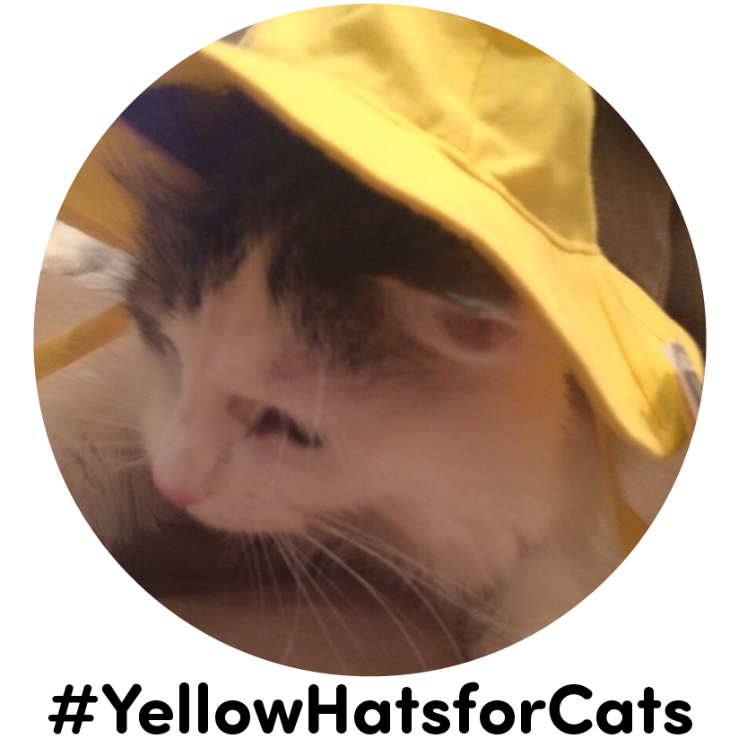 YellowHatsforCats.png