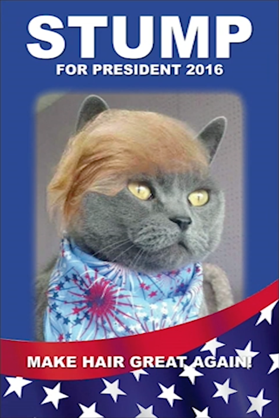 Screen-Shot-2016-05-06-at-10.18.22-AM.png