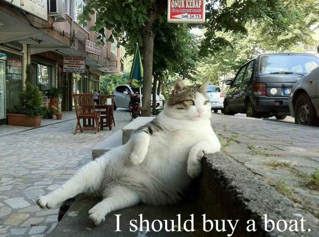 lazy-caturday-03.jpg