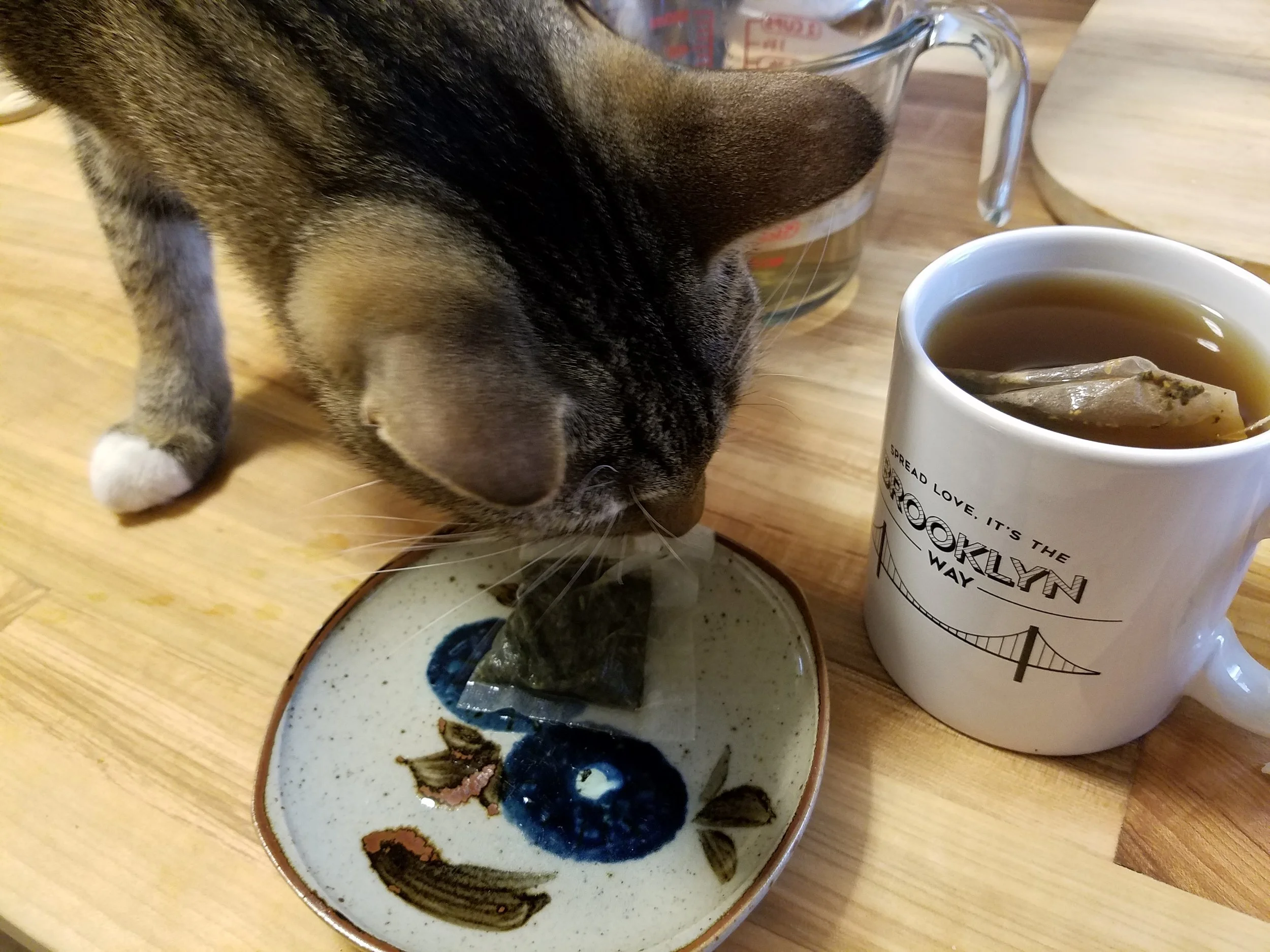 20170213_152637.jpg