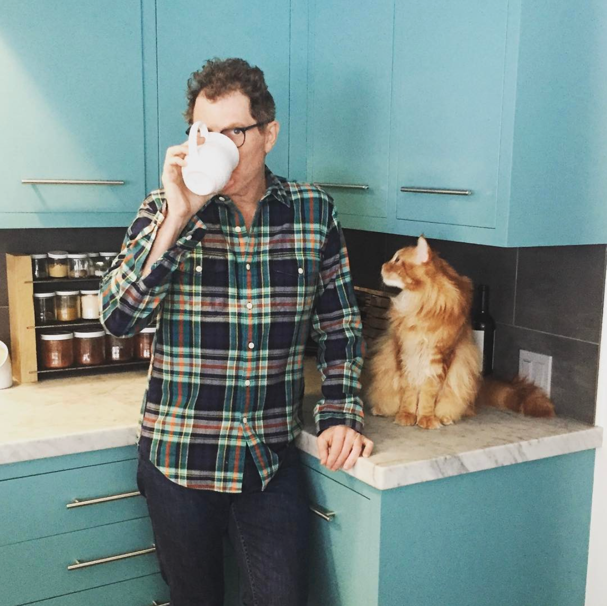 Cat Person Bobby Flay Loves His Maine Coon, Nacho Flay — That Cat Blog