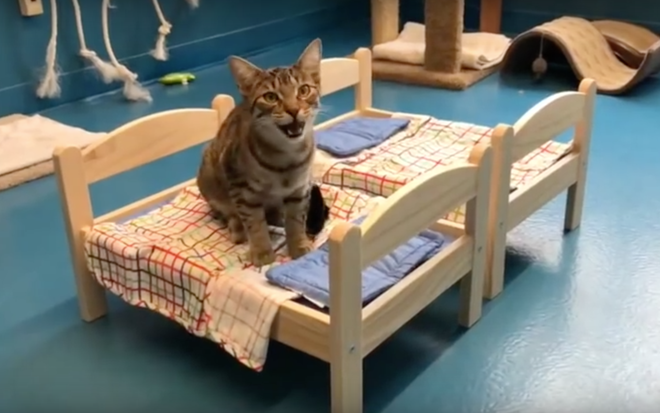 ikea doll bed canada