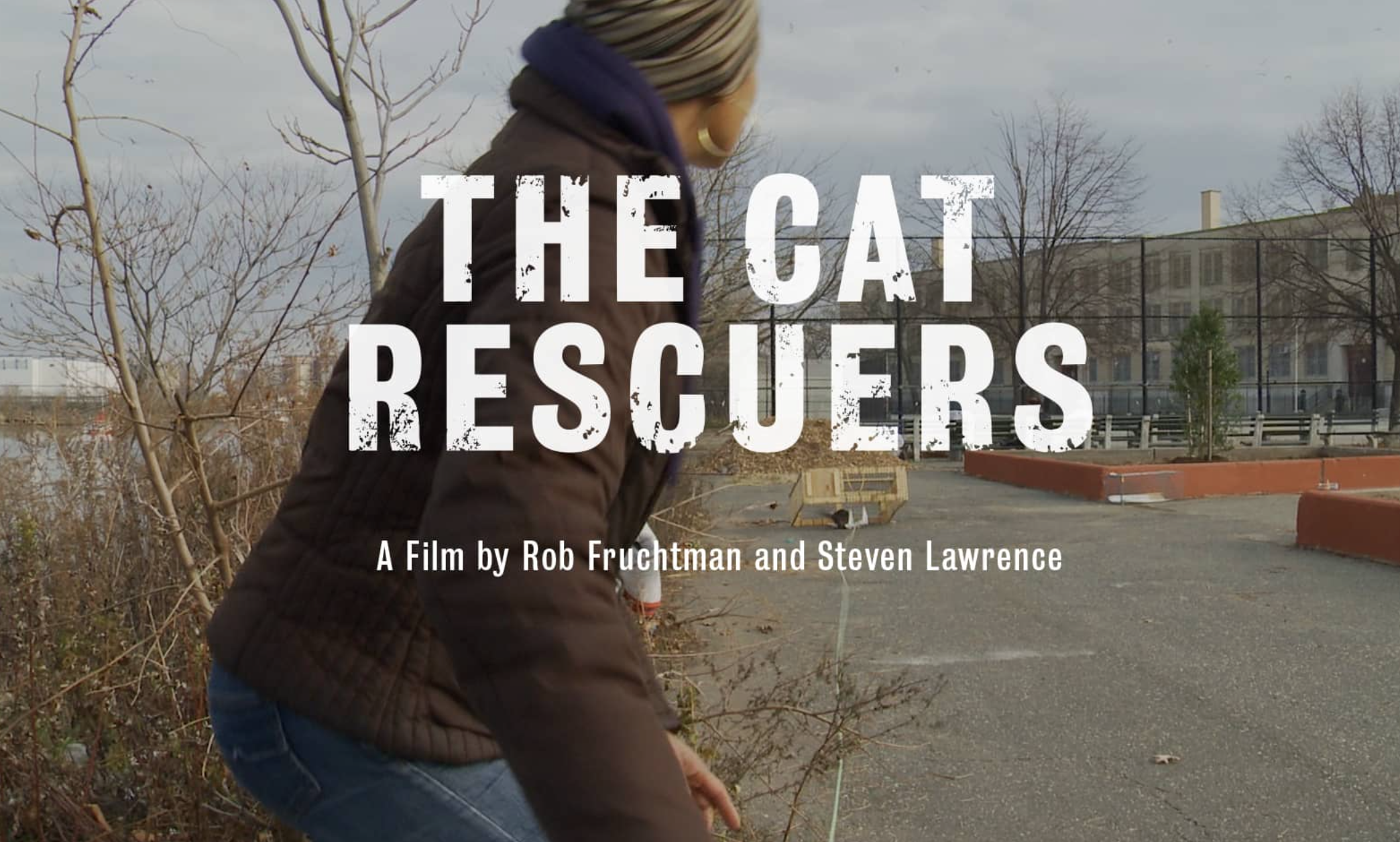 'The Cat Rescuers' Documentary Coming Soon With YOUR Help!