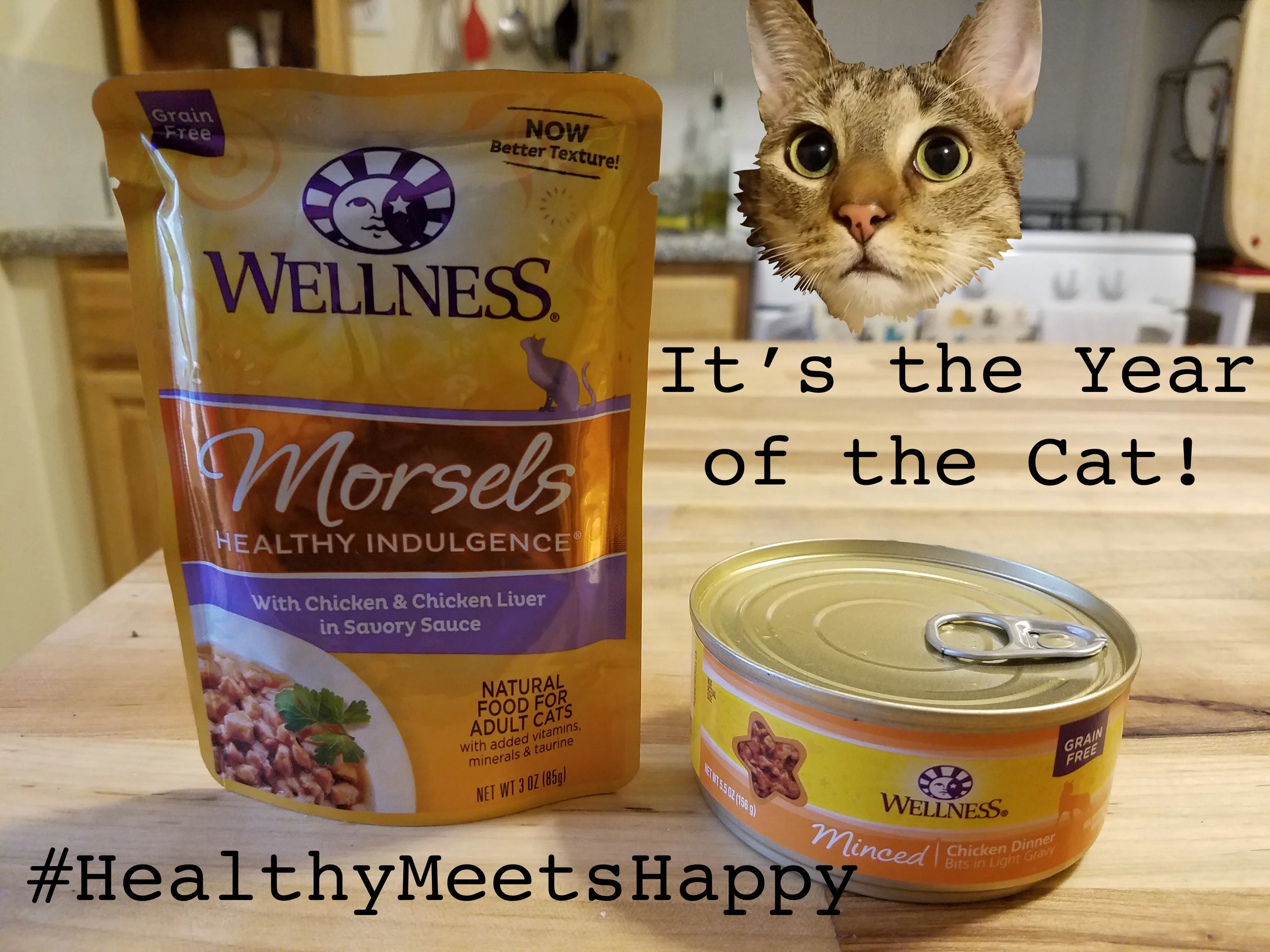 It's Wellness Pet Food's "Year of the Cat" - Help Us Celebrate #HealthyMeetsHappy!