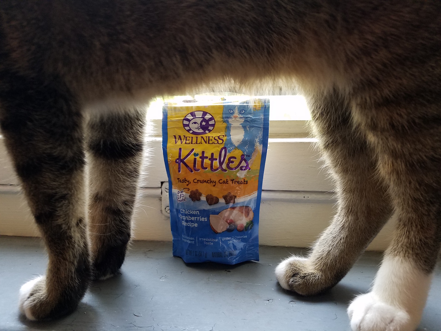 chewy cat treats