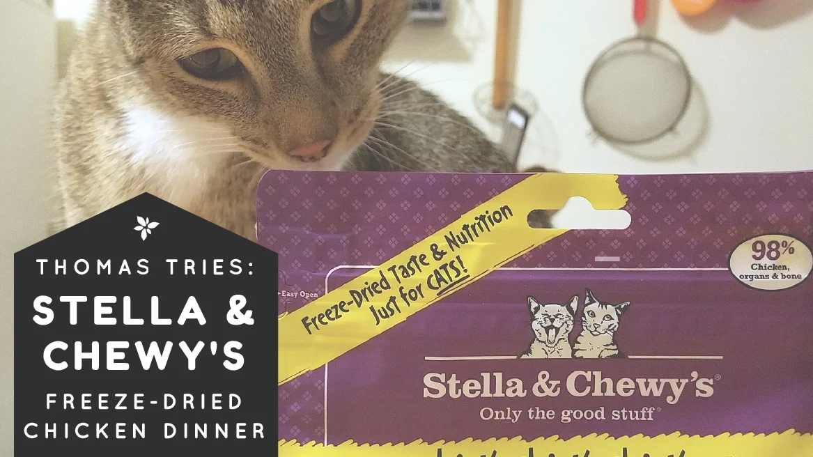 Chewy Influencer Review: Stella and Chewy's Freeze Dried Chicken Dinner