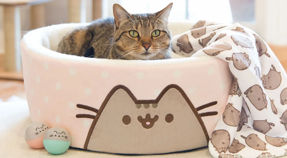 pets at home large hamster cage