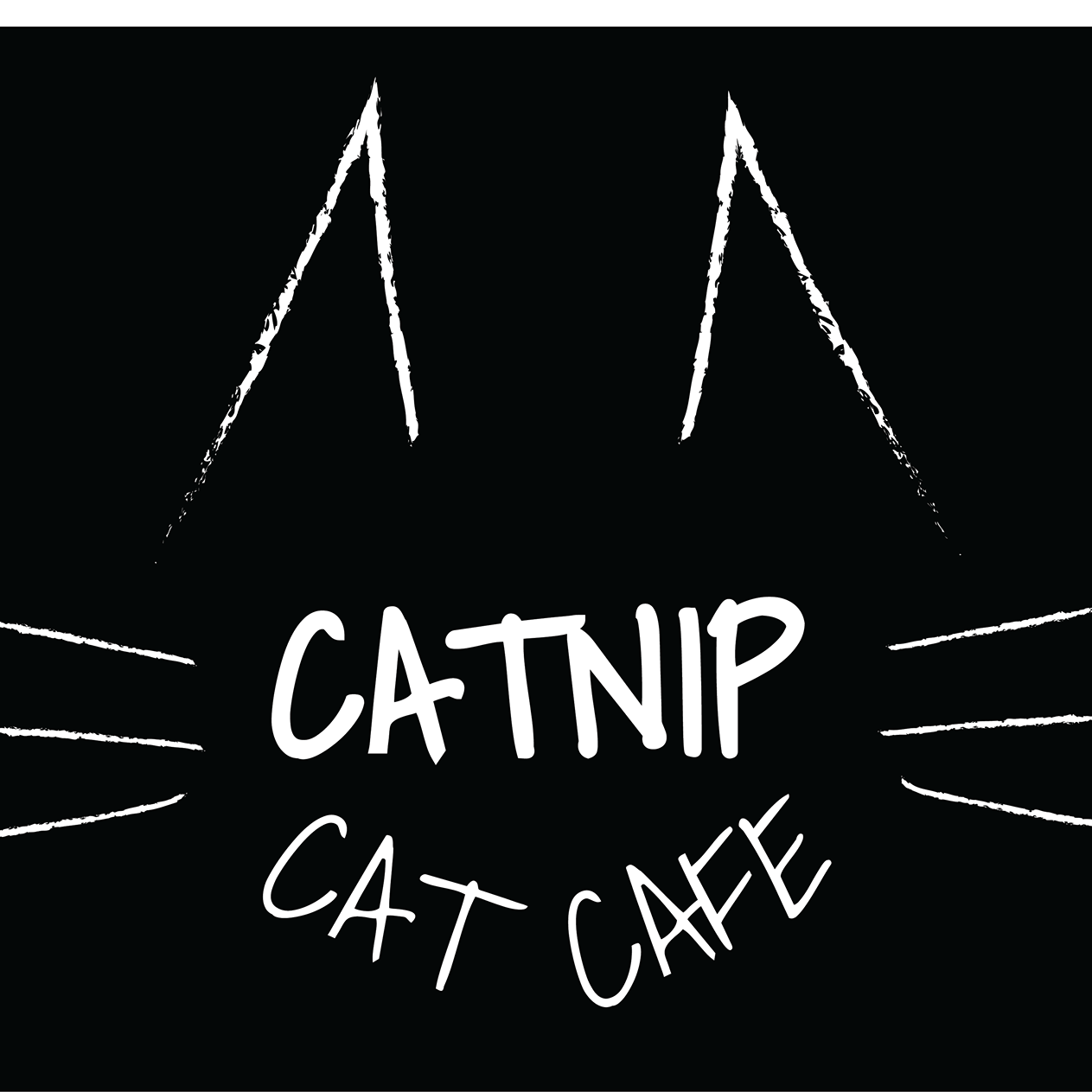 catnip-cat-cafe-norfolk-virginia