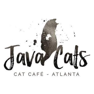 java-cats-cafe-atlanta-georgia