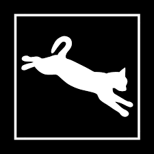 pounce-cat-cafe-charleston-south-carolina
