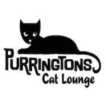 purringtons-cat-lounge-portland-oregon