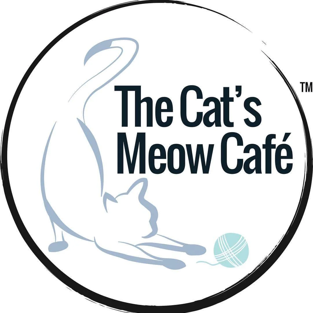 the-cats-meow-cafe-miami-florida