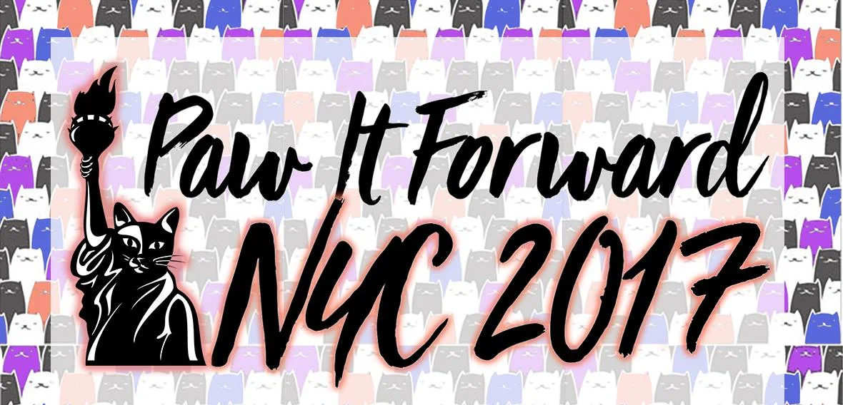 Paw It Forward NYC, A Cat Party For Cat People