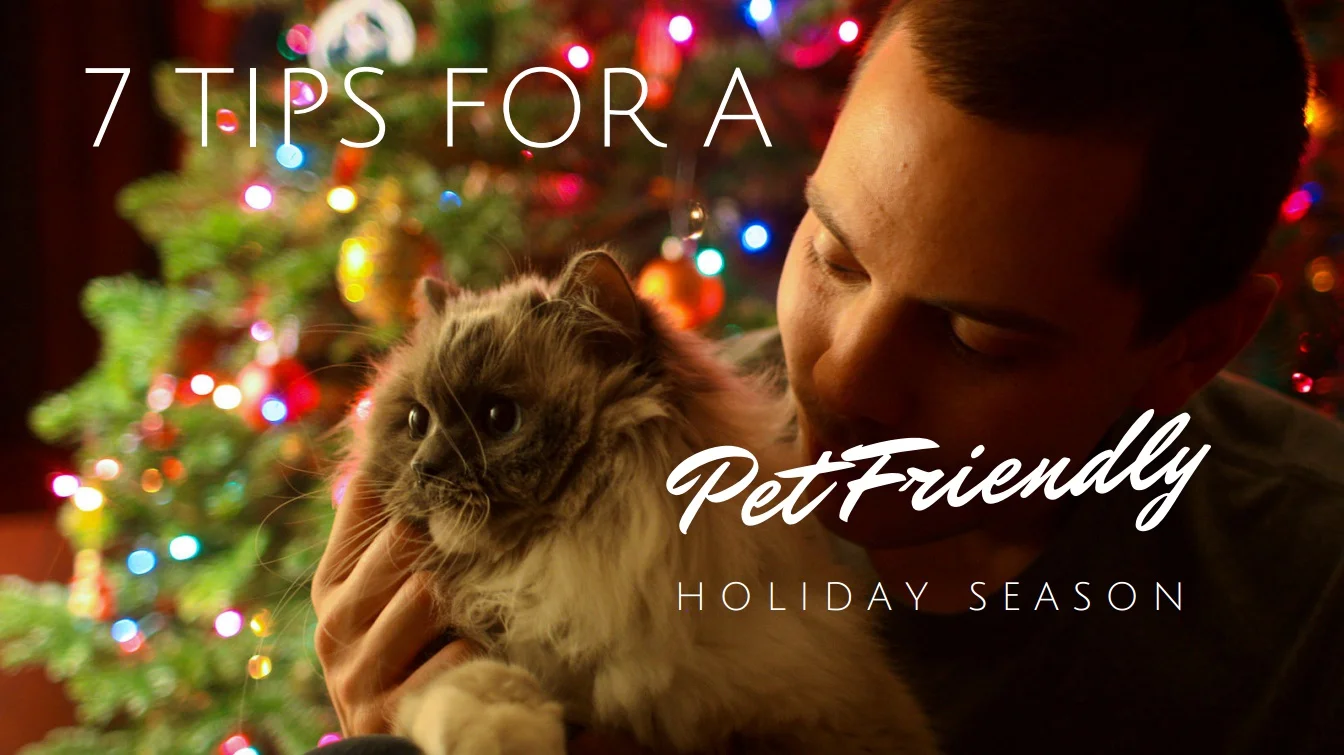 7 Tips For A Pet-Friendly Holiday Season