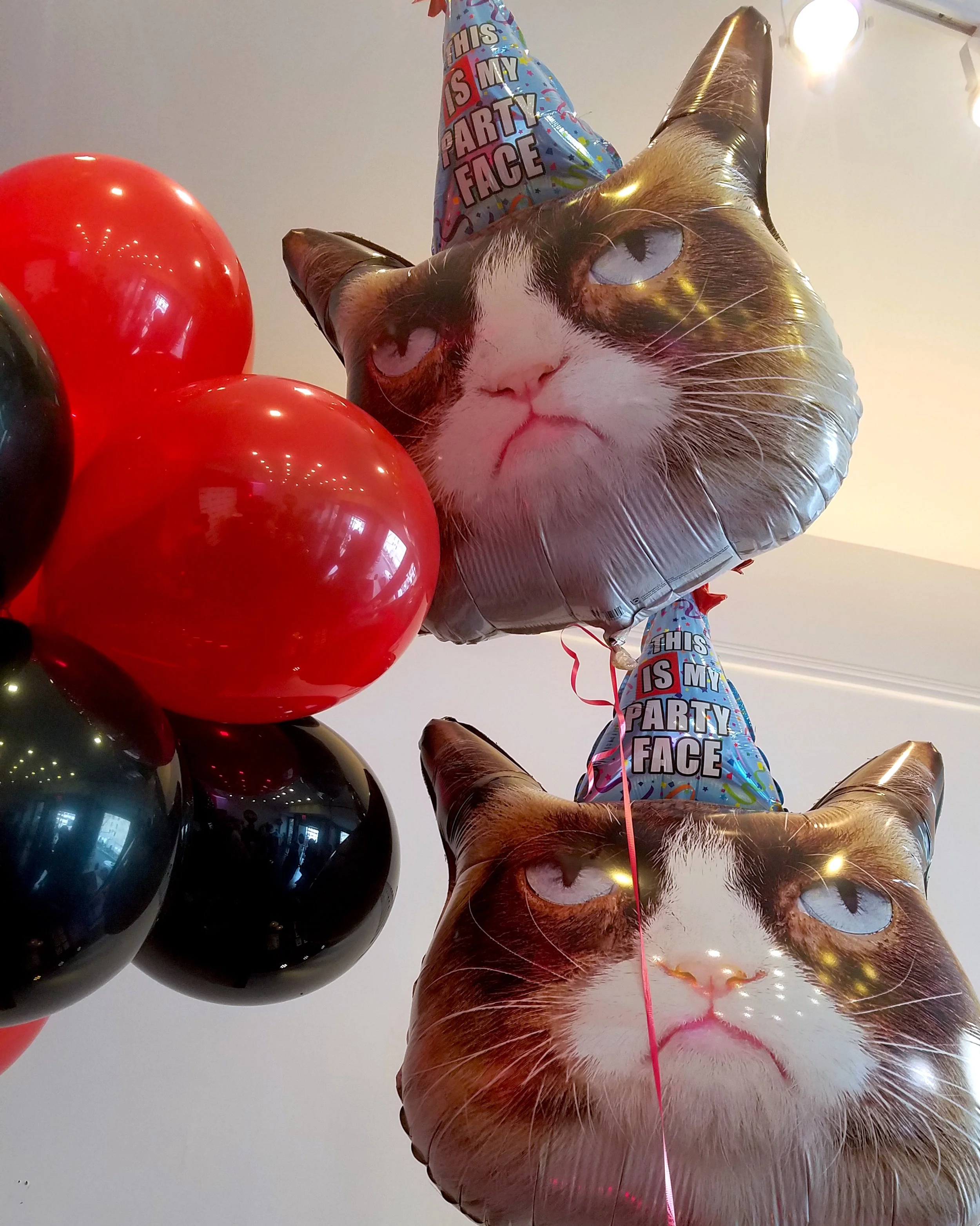 This IS my party face. // Photo: That Cat Blog