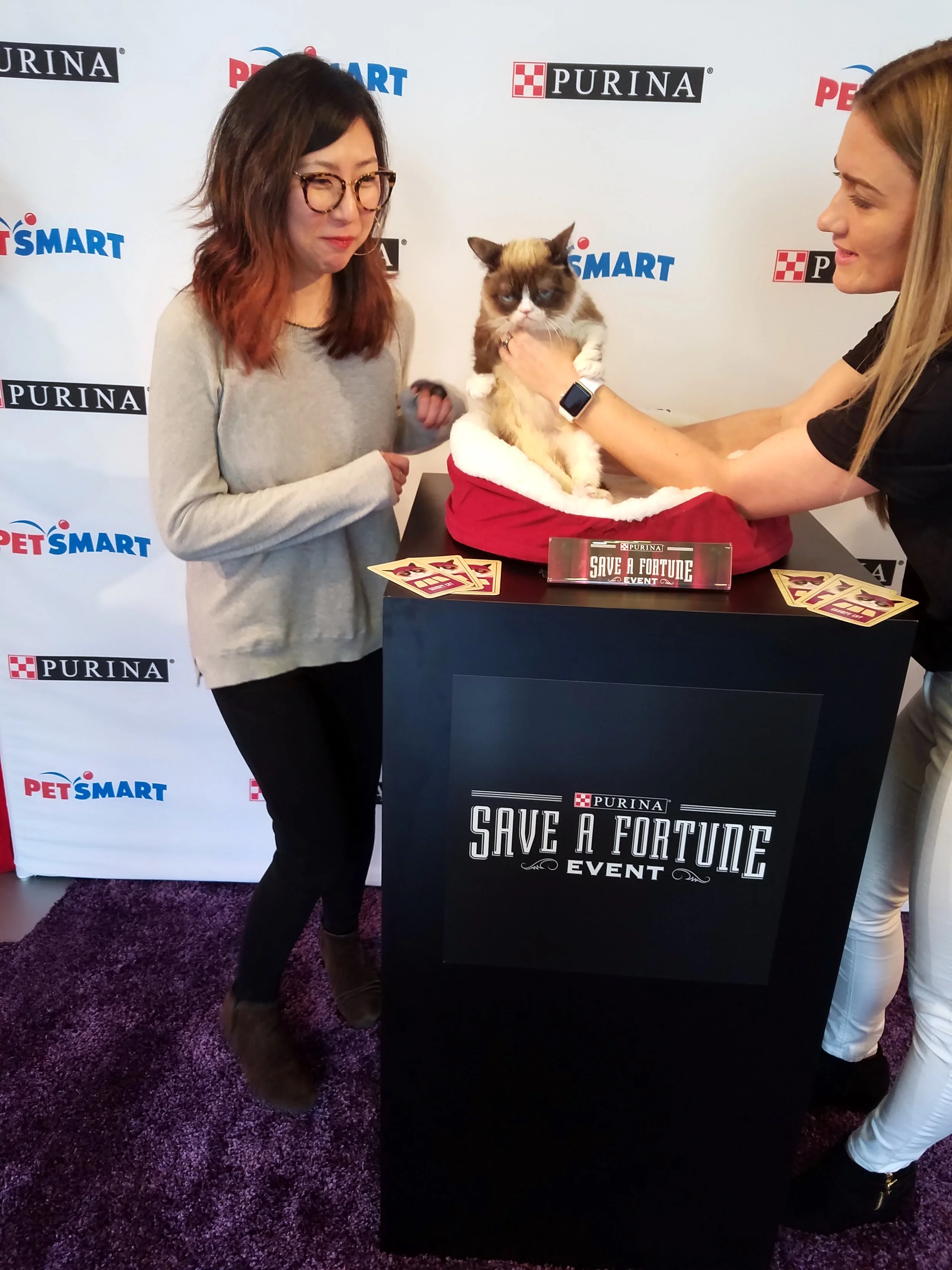 So nervous to be around a celebrity! 😹 // Photo: That Cat Blog
