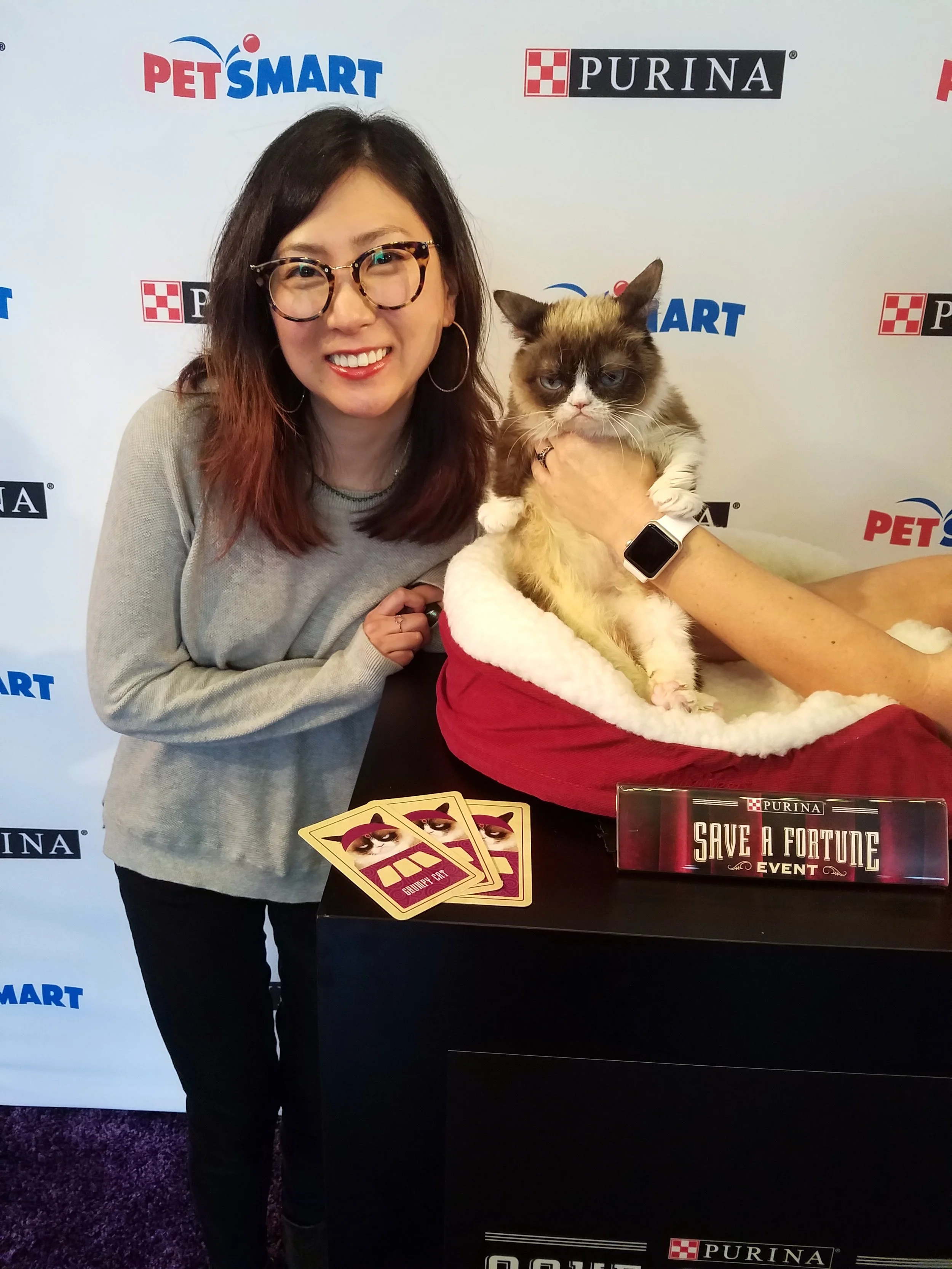 Grumpy Cat does not look amused but I sure do! // Photo: That Cat Blog