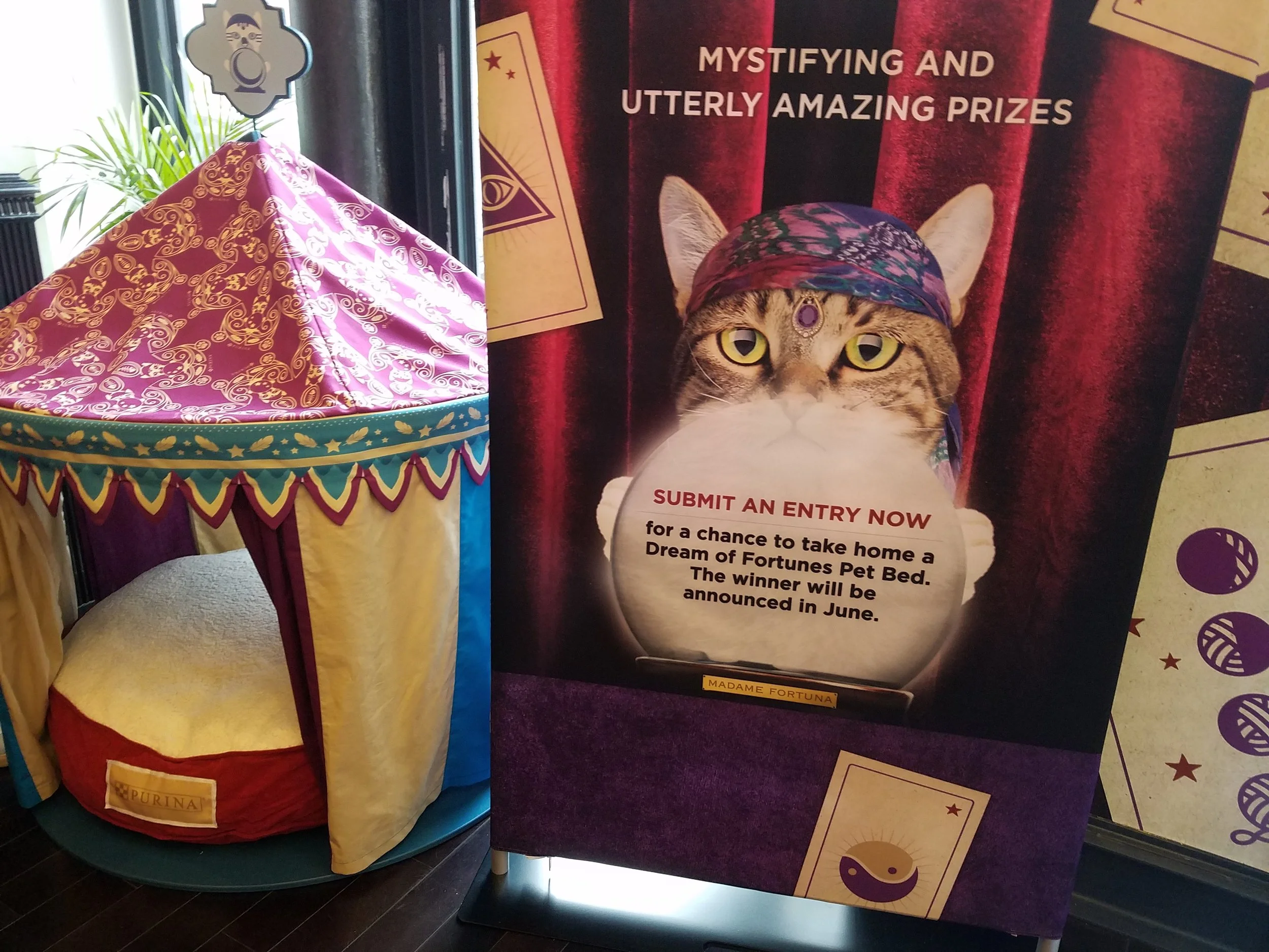 Check out one of the grand prizes (a super lush "Dream of Fortunes" cat bed!) Visit the website to enter. // Photo: That Cat Blog