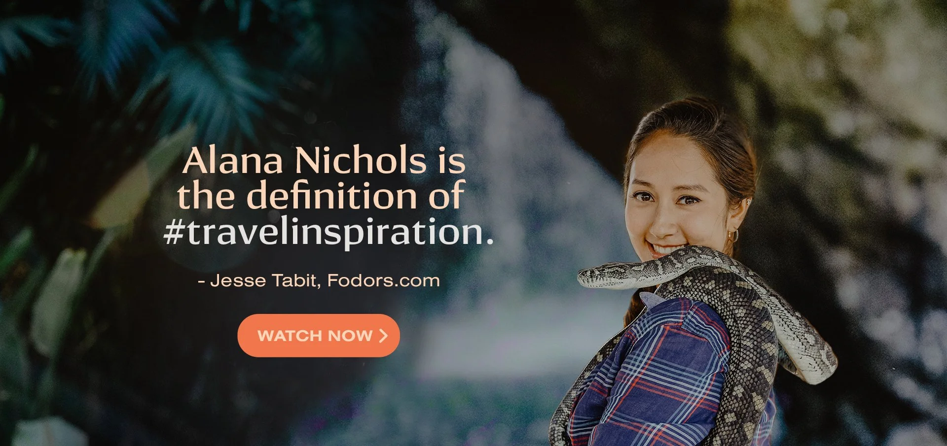 Follow Alana Google Ad