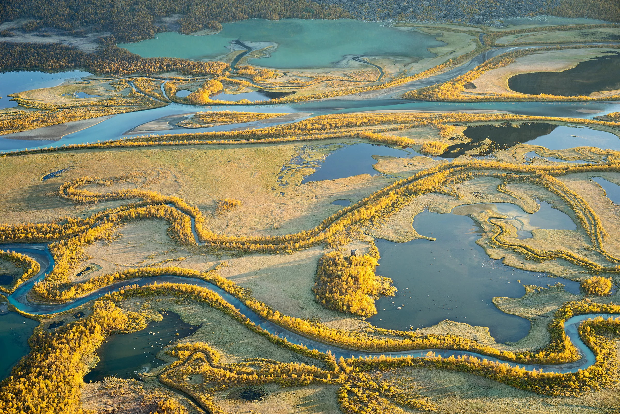 Autumn Delta – Sarek National Park