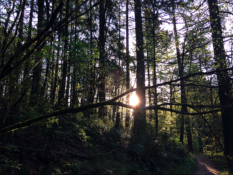 Screen Shot 2017-04-05 at 18.20.12.png