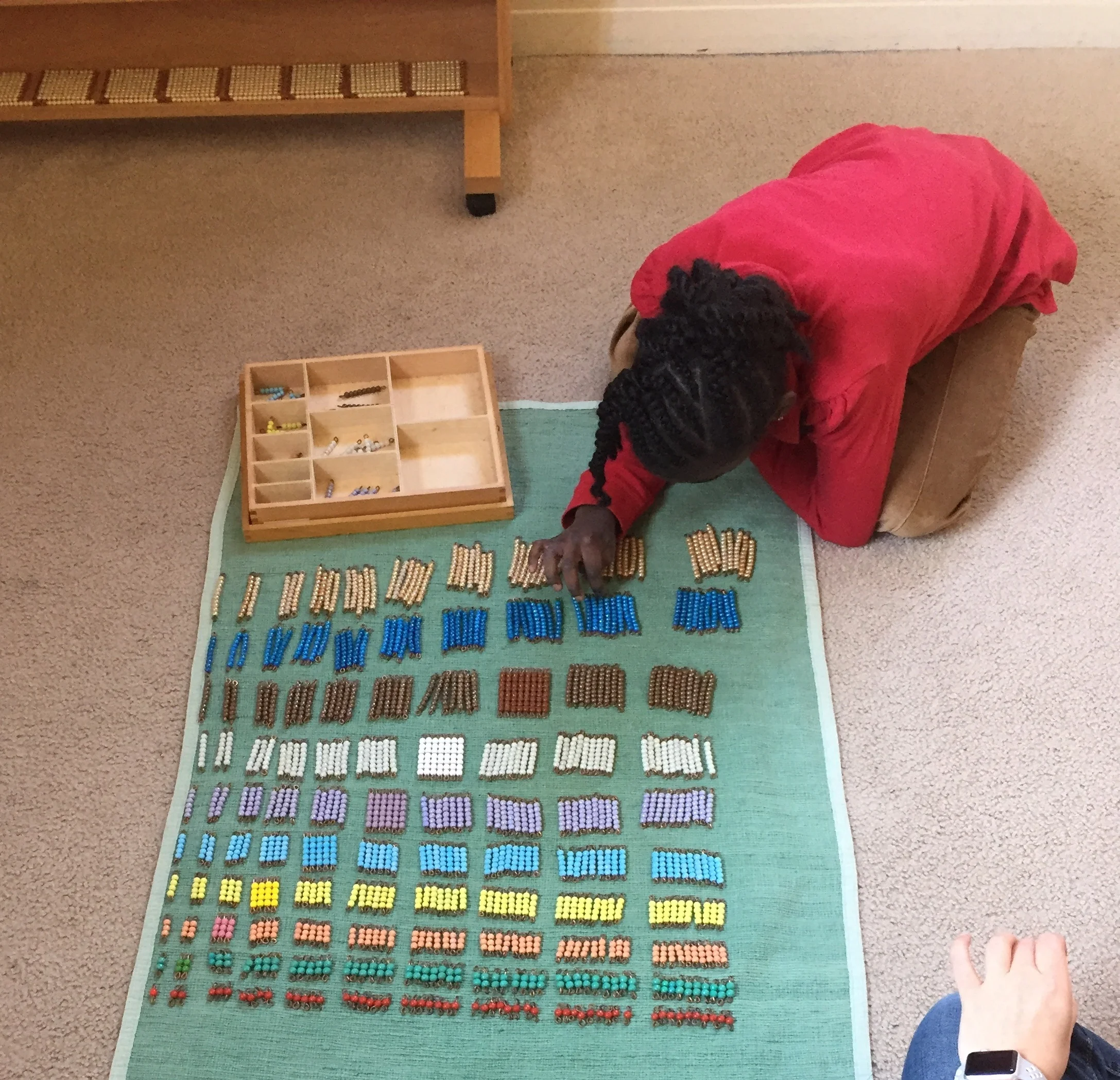 Parent Workshop- Montessori Mathematics Curriculum