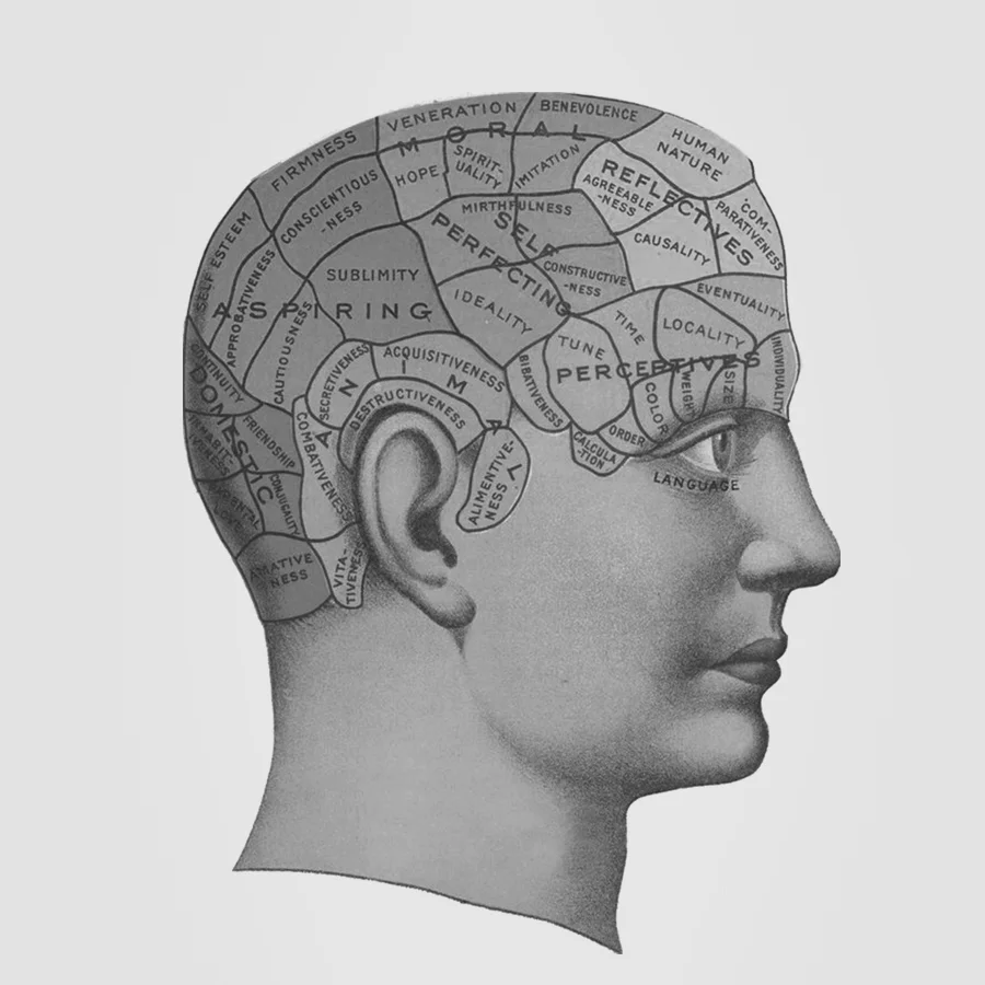 CBx_SquareIllustrations_BrainCrop_grey.jpg