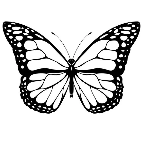 6217ac2794d725caba17a73084530be8.jpg