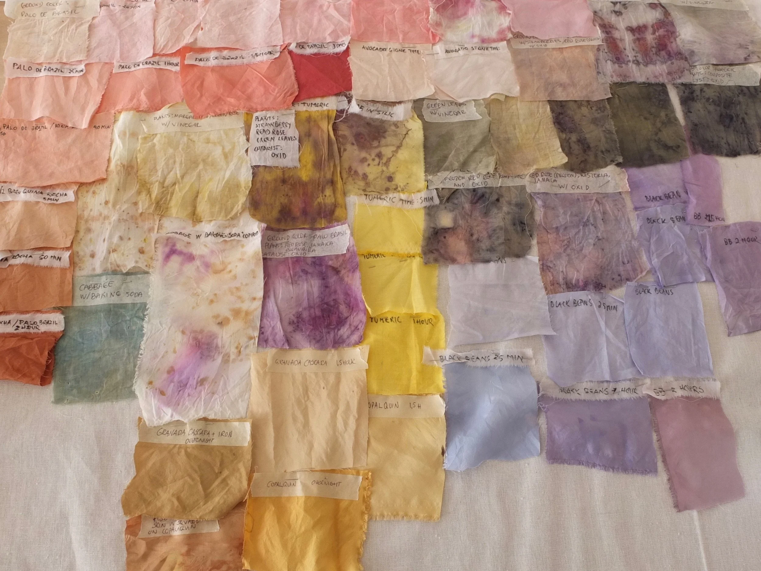 Image: Color samples / Photo Credit: Lise Bjørne Linnert
