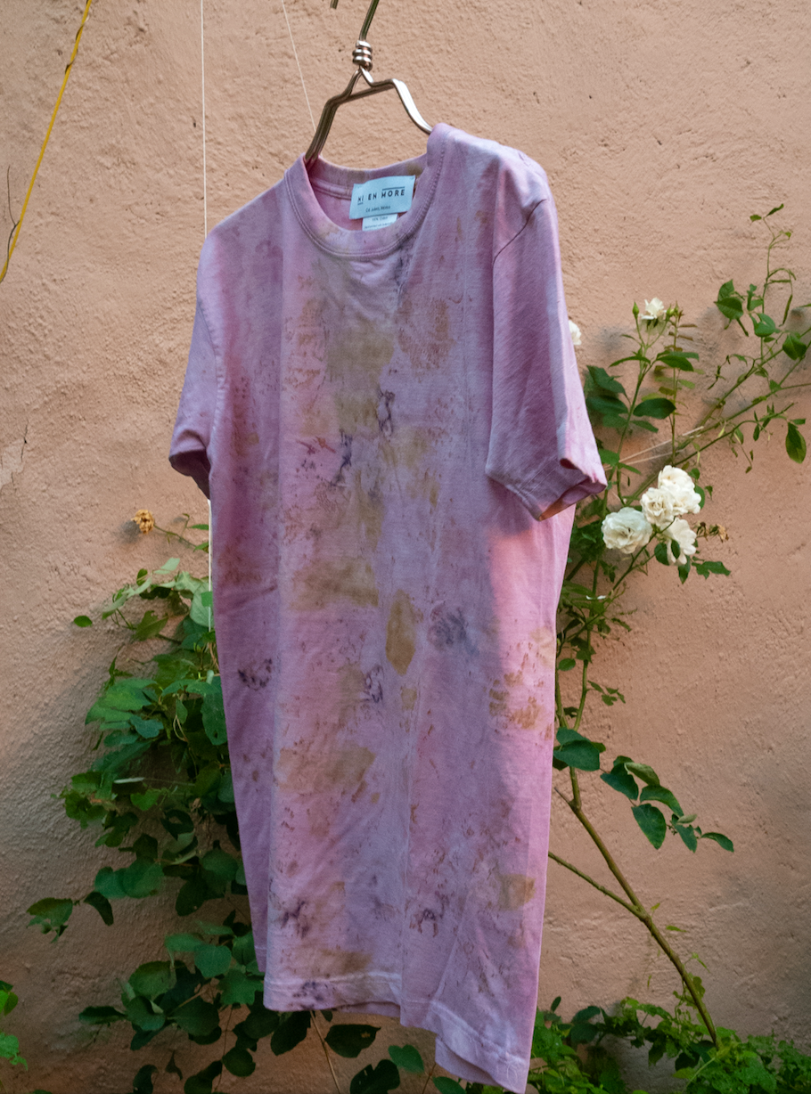 compost and Cochineal lighter 1.png