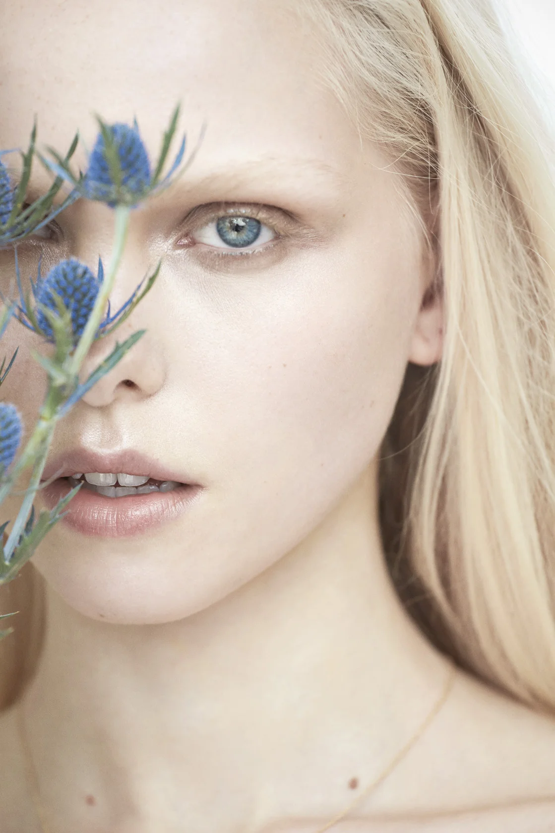 Beauty_2014_04_29_BeauxWaste64685.jpg