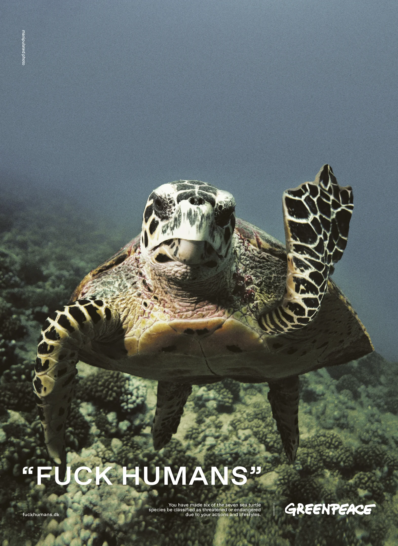 GreenPeace_FuckHumans-Turtle-266x365-AVIS.jpg