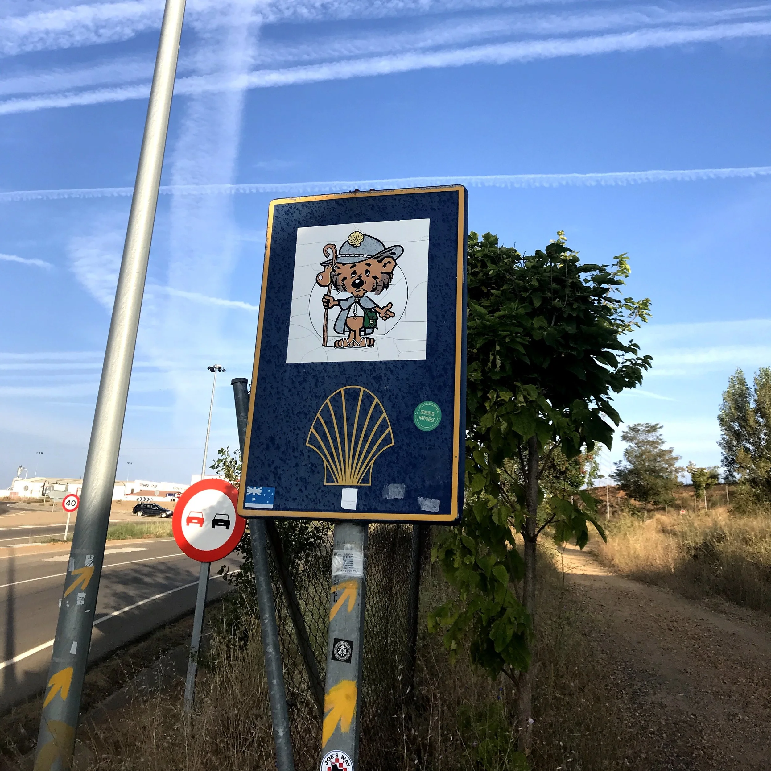 Mansilla de las Mulas or “The Full Camino”