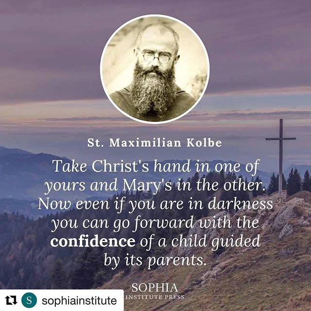 To my fellow Knights of the Militia Immaculata: a happy feast and blessed solemnity!