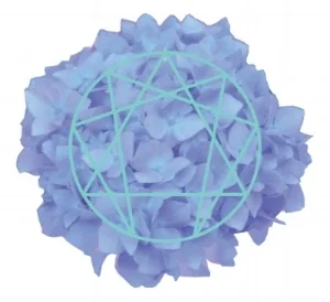 Hydrangea Enneagram.jpg