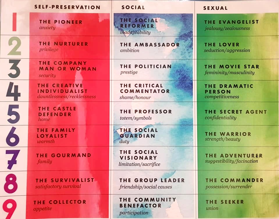 Instinctual Subtypes — THE ENNEAGRAM AT WORK