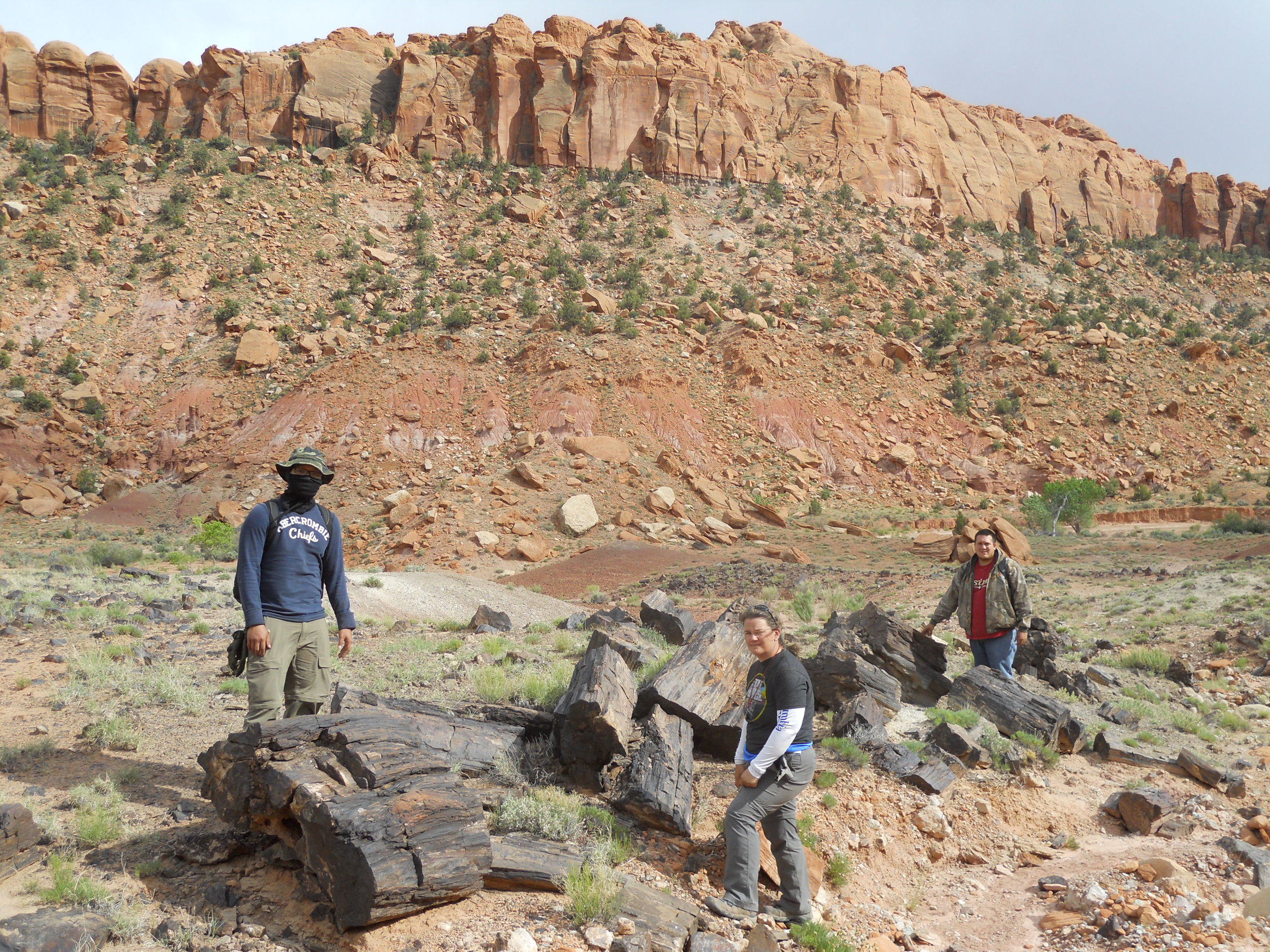 Petrified Log, Grand Staircase-Escalante National Monument