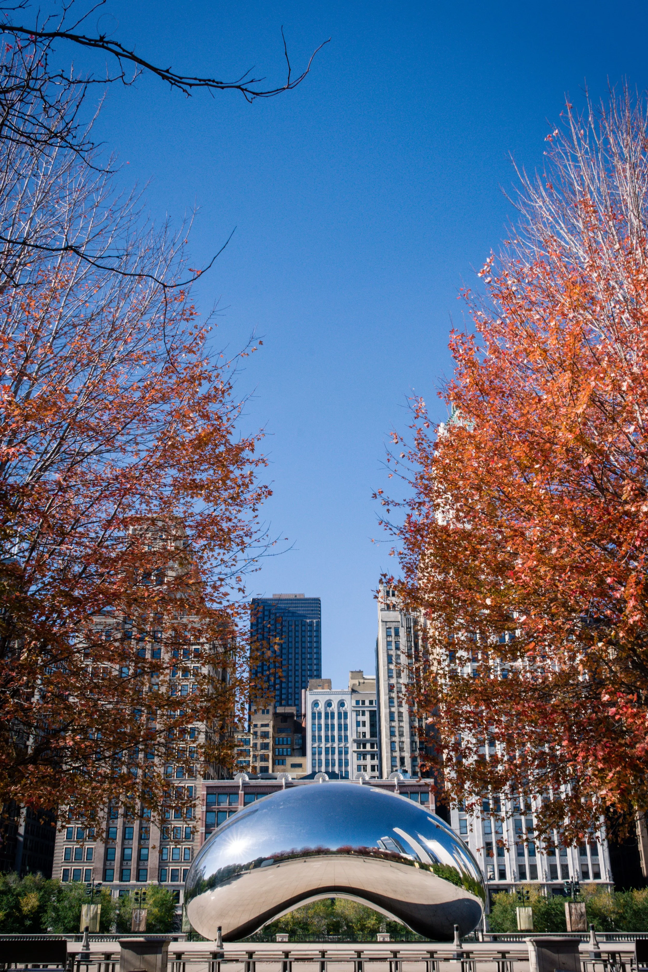 TheBean-1-min.jpg