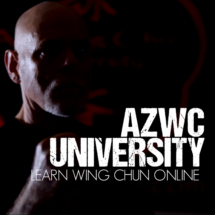 Learn Wing Chun Online.png