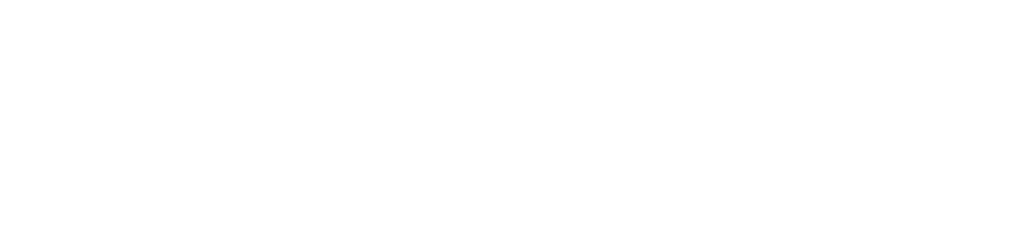 AZ Wing Chun University