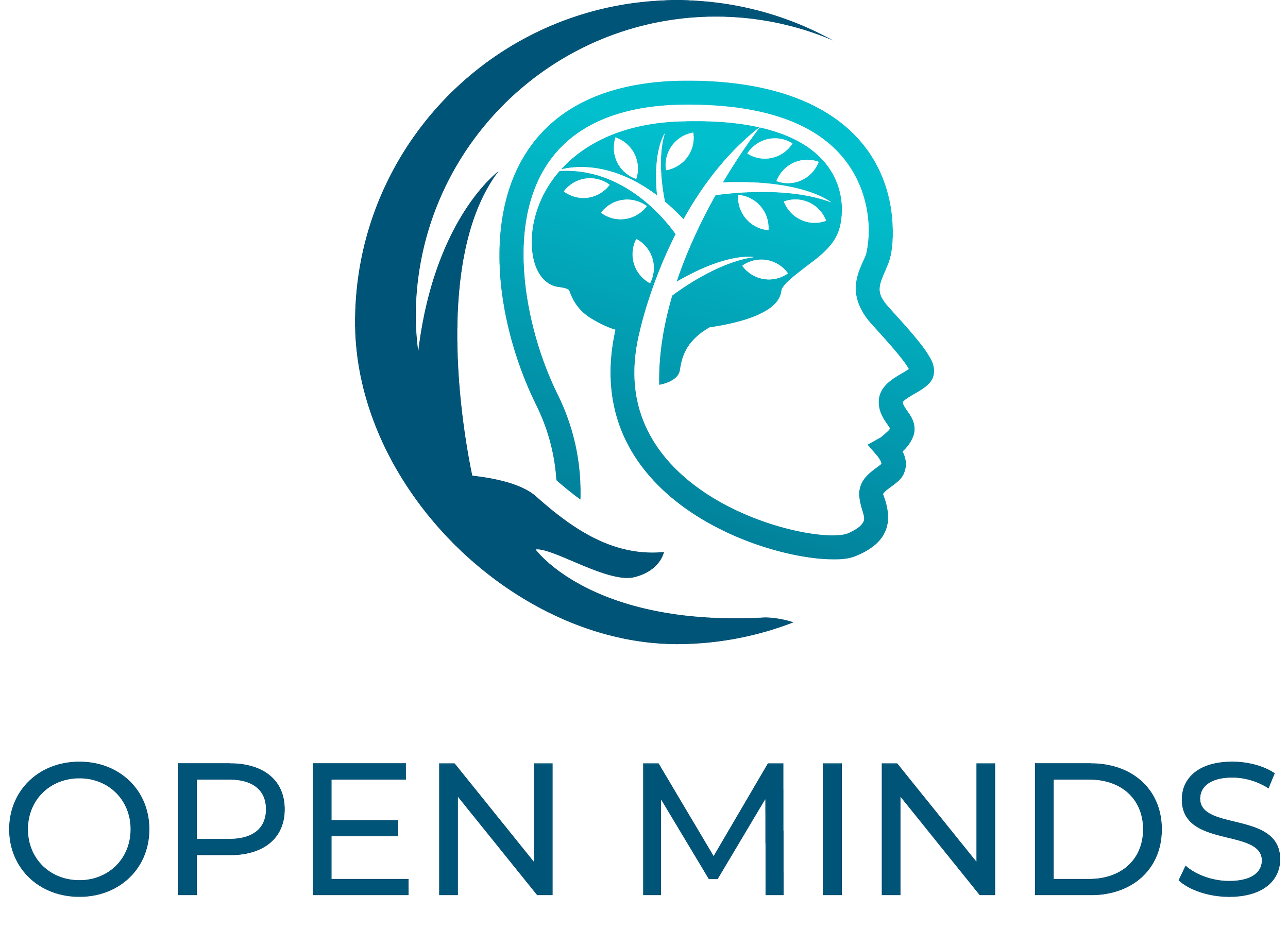 Open Minds LLC
