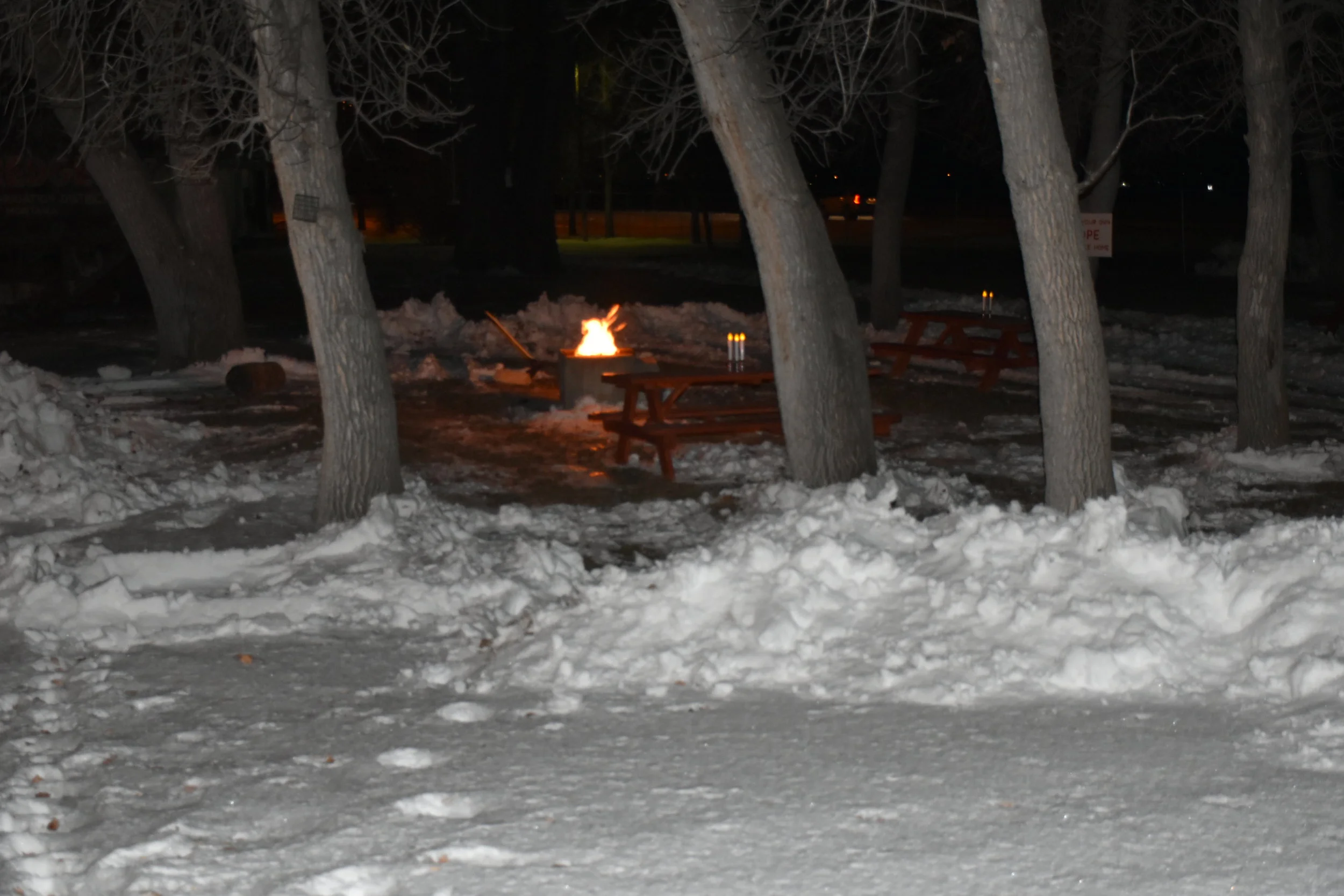 Fire pit in Winter.JPG