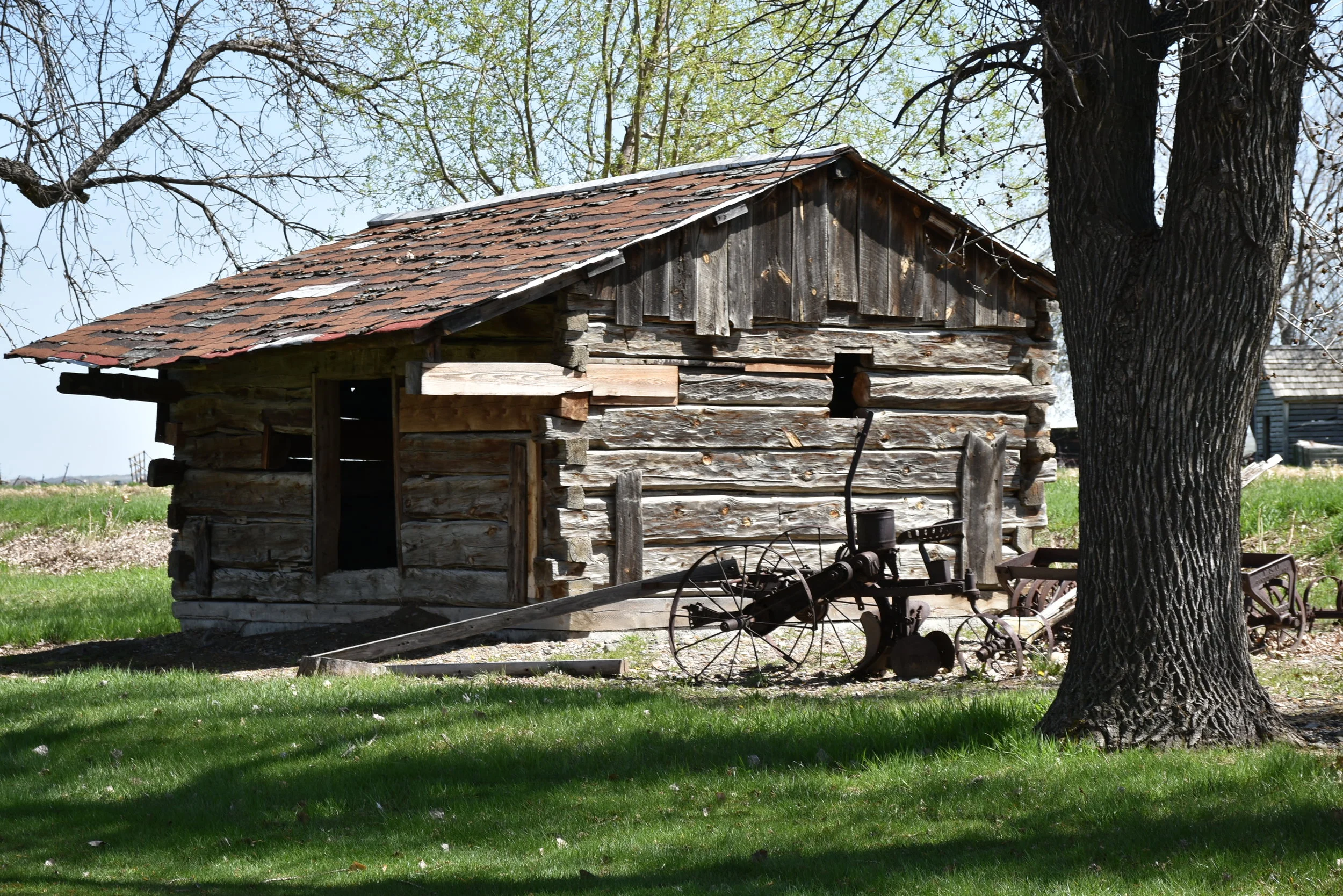 DSC_0250.JPG