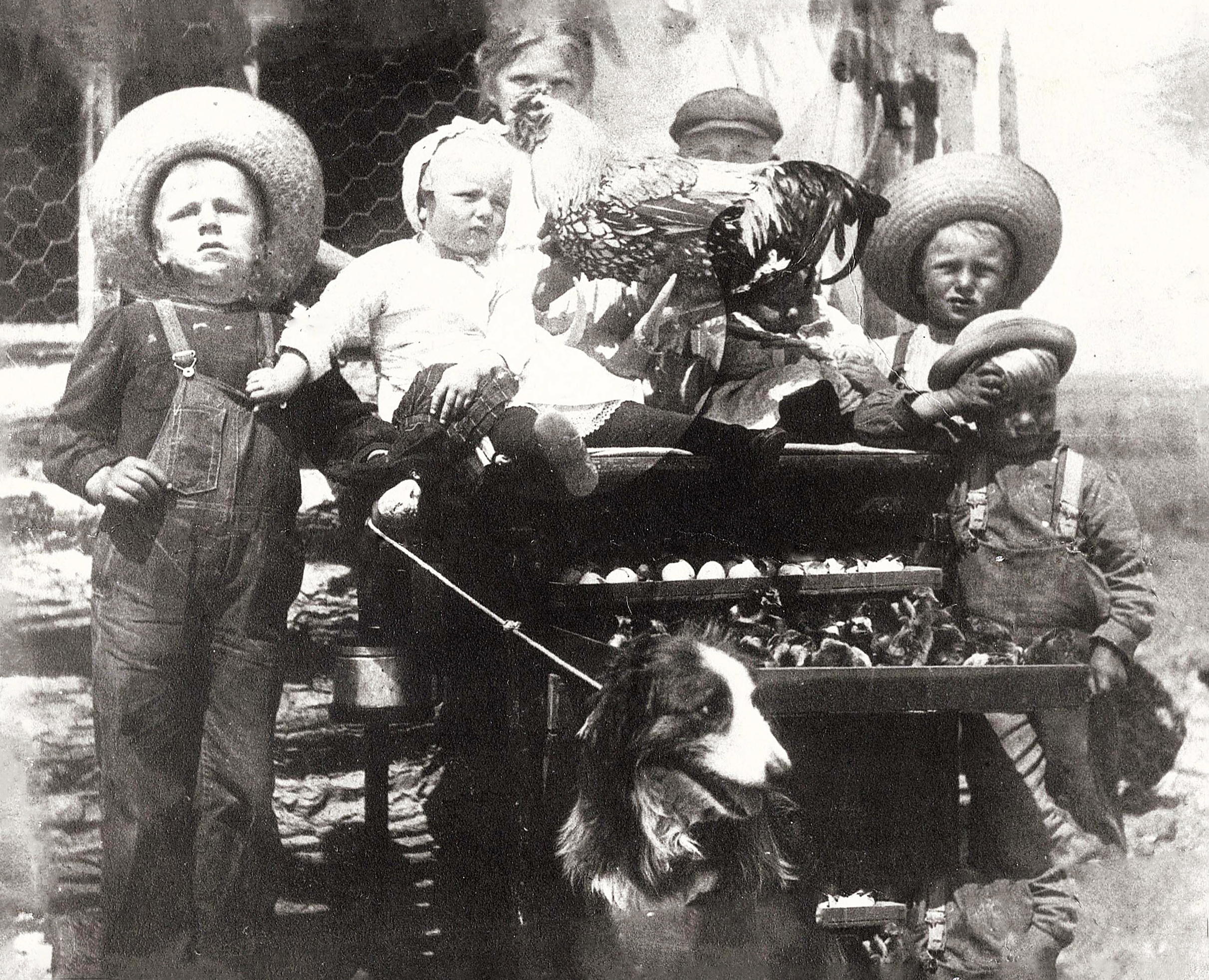  Banderob children with award-winning silver laced wyandotte chickens and dog bismarck