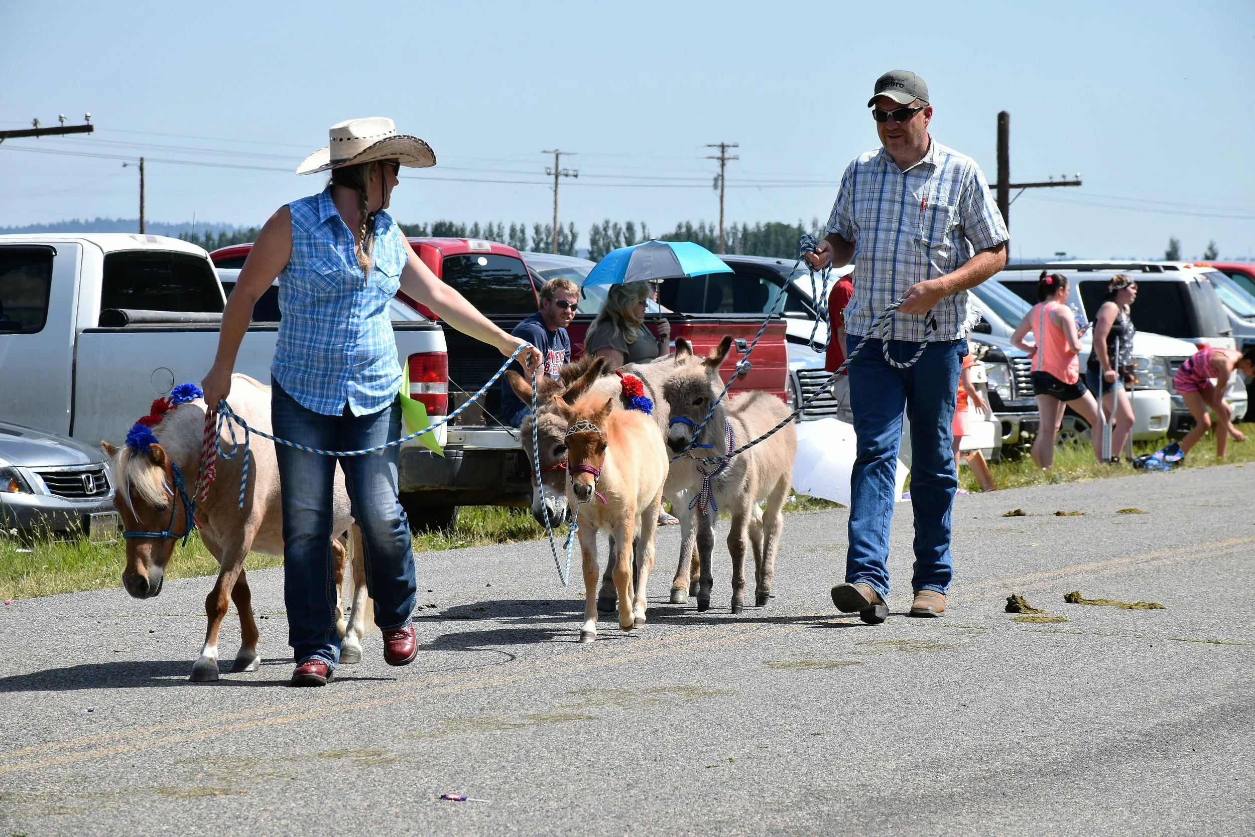 Homesteader days