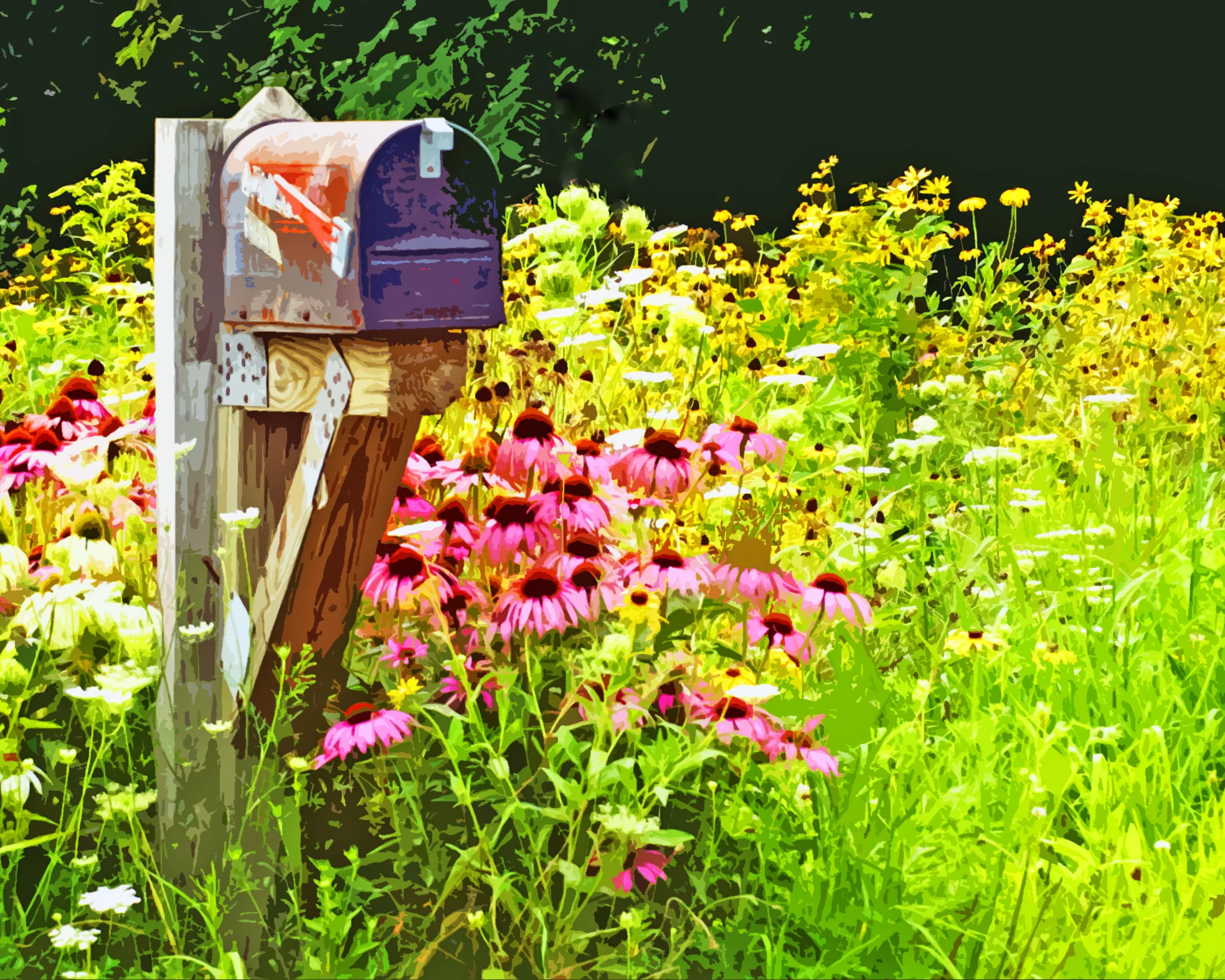 Country mailbox